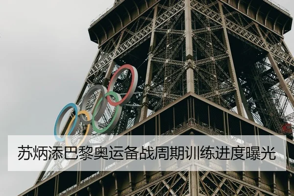 苏炳添巴黎奥运备战周期训练进度曝光