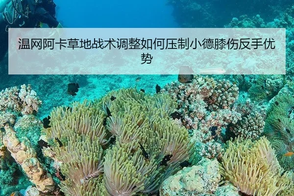 wen-wang-a-ka-cao-di-zhan-shu-tiao-zheng-ru-he-ya-zhi-xiao-de-xi-shang-fan-shou-you-shi-2-318.jpg