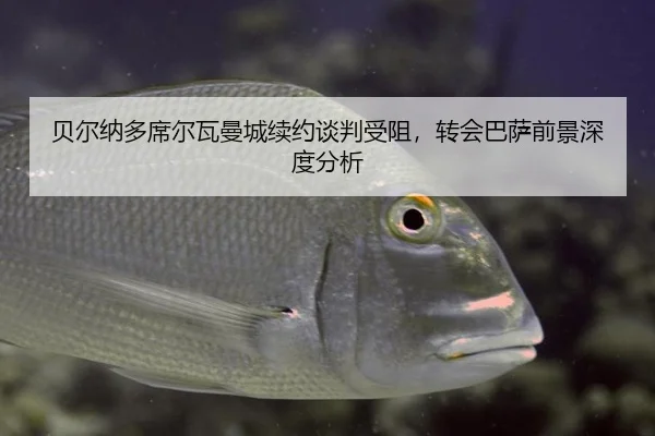 bei-er-na-duo-xi-er-wa-man-cheng-xu-yue-tan-pan-shou-zu-zhuan-hui-ba-sa-qian-jing-shen-du-fen-xi-2-255.jpg